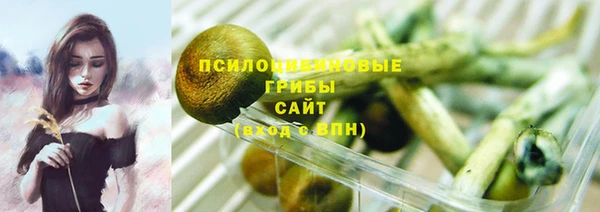 хмурый Гусев