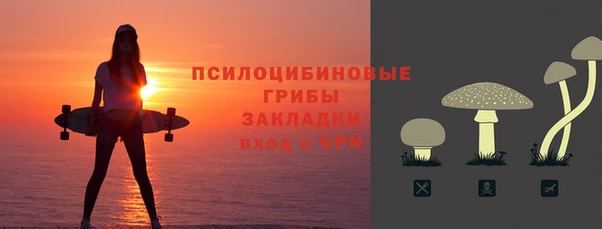 хмурый Гусев