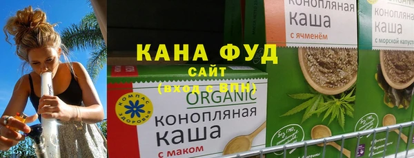 хмурый Гусев