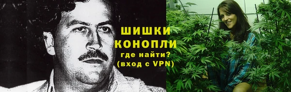 хмурый Гусев