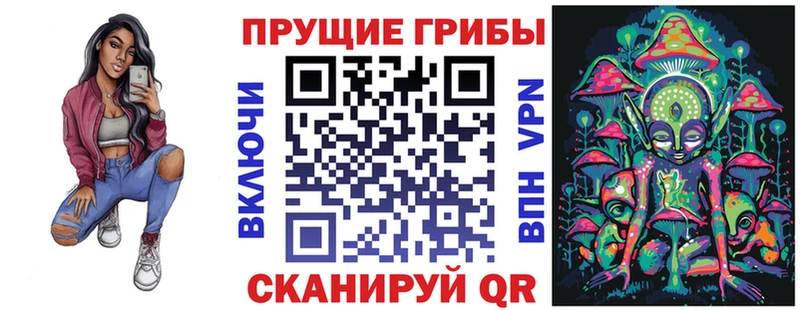 Галлюциногенные грибы Psilocybine cubensis  Купить где  Тогучин 